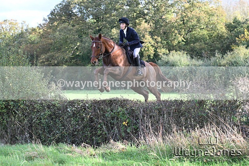 WJ7_5652 - Edited examples