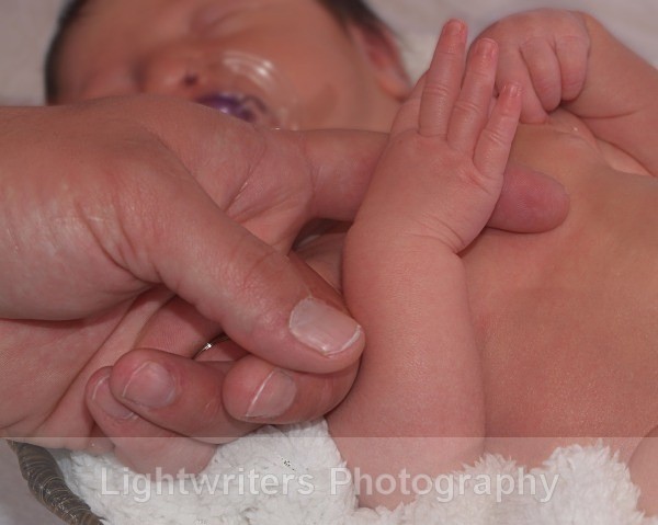 Buckle 54 - Baby Harper