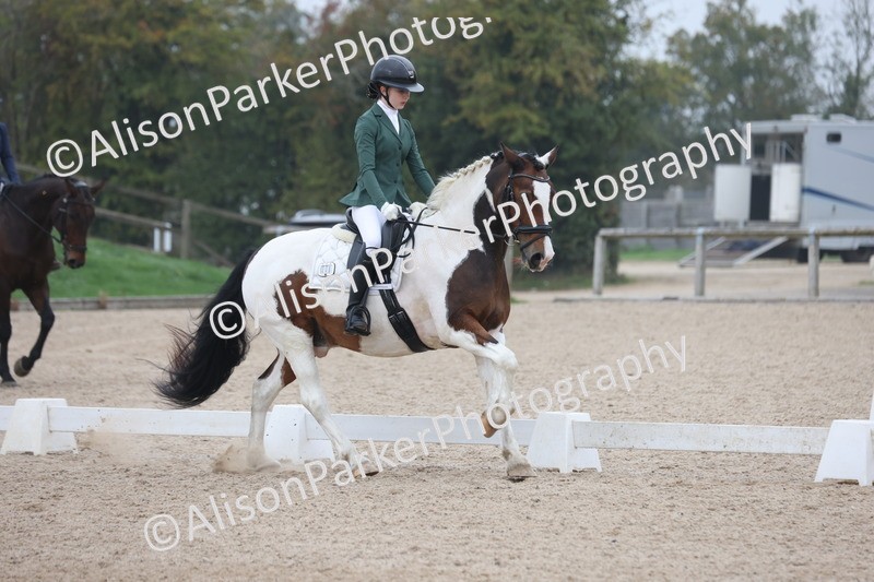 20251012-0591 - Class 5 - Elementary 5