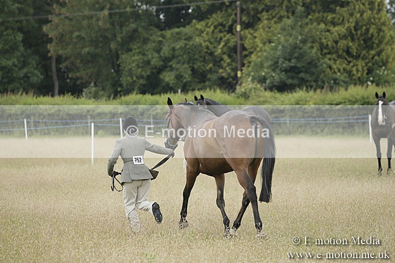 B230619-0284 - Bourne Valley Riding Club Summer Show 23/06/19