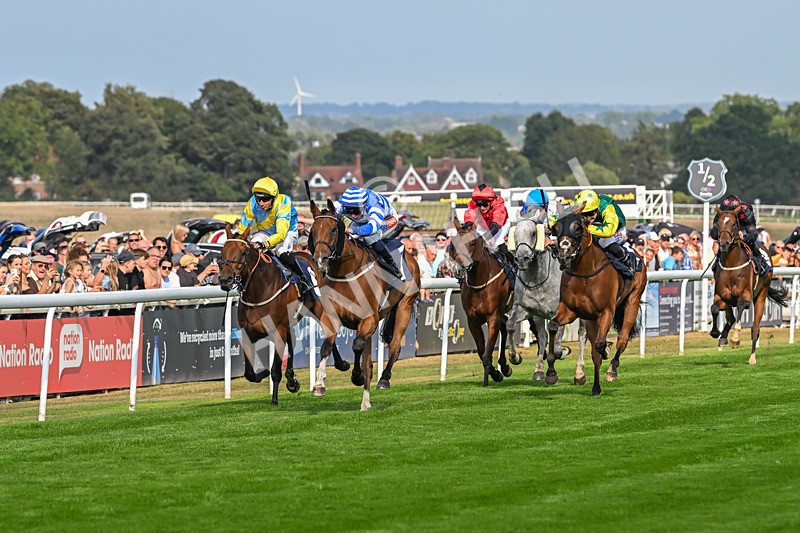 240825-Race 5-This Years Love-3379 - Race 5