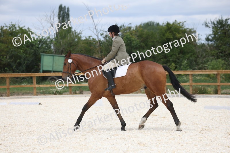 20260704-0808 - Class 5 - Novice 3