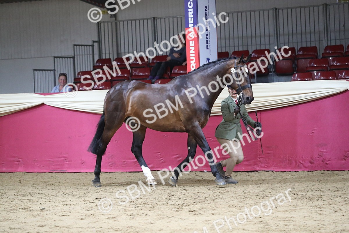 SBM_04997 - Class 8R- Regional -IH Veteran
