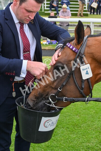 yr22052022r2-27 - Race 2: 4:00pm Sky Bet Sunday Series EBF Novice Stakes