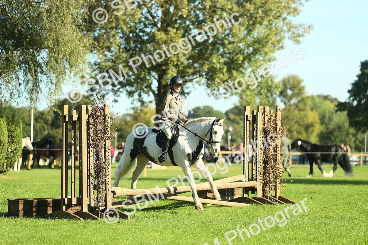 SBM_36430 - S29 - Novice & Newcomers Working Hunter Pony