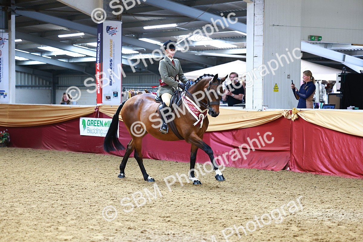 SBM_23214 - Class 905 - Supreme Final - Ridden Veteran