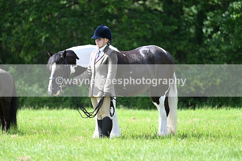 WJ7_1432 - Class 11 Condition & Turnout