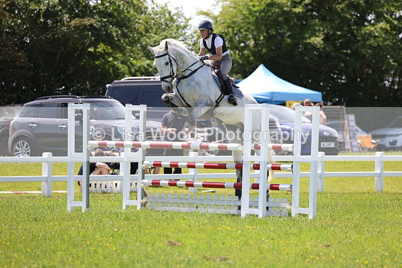 3E7A1246 - Class 12: Senior Foxhunter/1.20 open