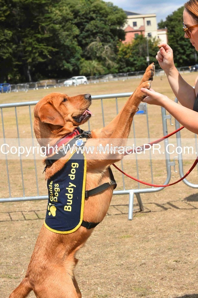 SH4_0215 - Dog show.