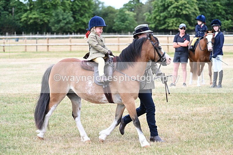 WJ7_9799 - Class 1 Lead Rein Pony