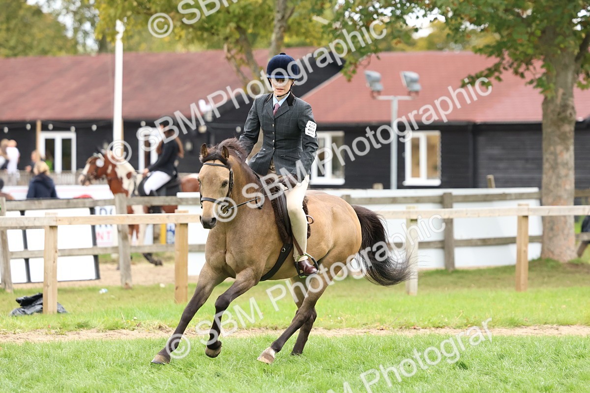 SBM_67464 - S61 - Mountain & Moorland Ridden