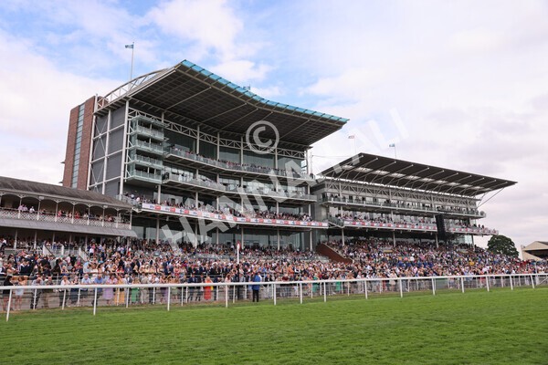 yr23072022r6-46 - Race 6 5.00pm Sky Bet Partnership with Support Dogs Stakes