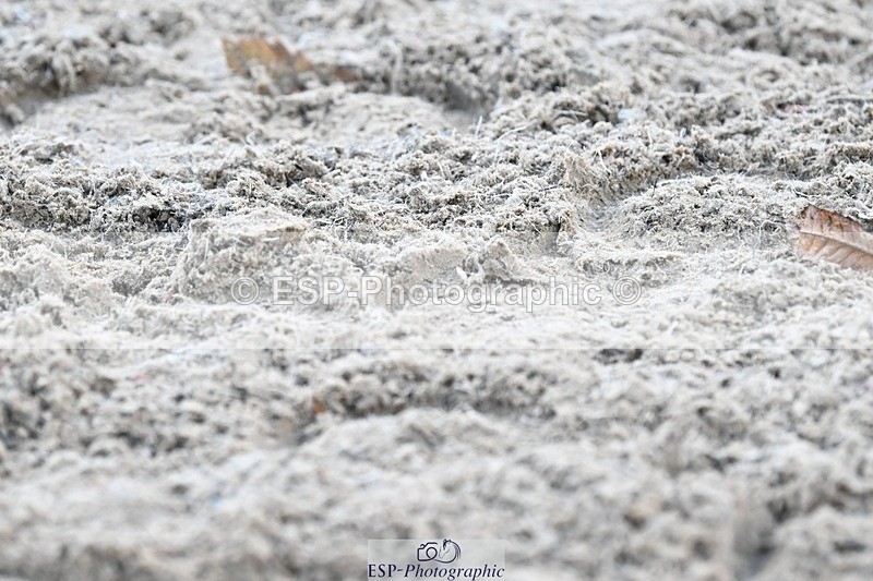 231110-144623-02030 - Cls 8 Medium 75Q