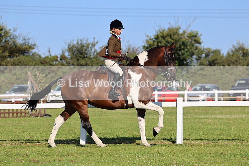 IMG_1350 - Class 27: Ridden Plaited Coloured Horse