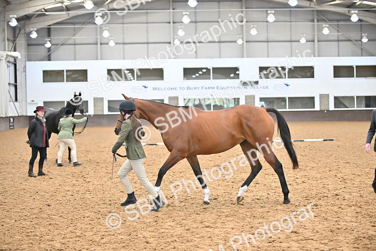 SBM_000137 - Class 6 - BSHA In Hand Racehorse to Show Horse