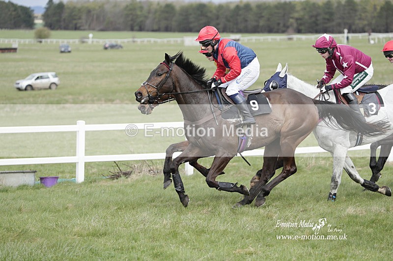 PtP 260323 0391 - New Forest Hounds Point-to-Point Larkhill 26/03/23