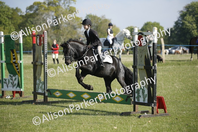 20250427-0323 - Class 12 - Rookie Jumping 40cm