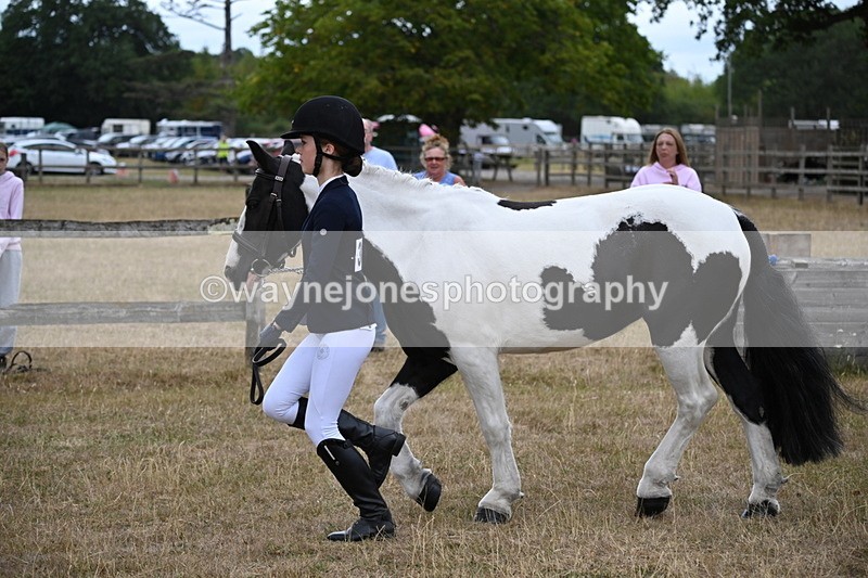 WJ6_8098 - Class 10 Coloured in Hand