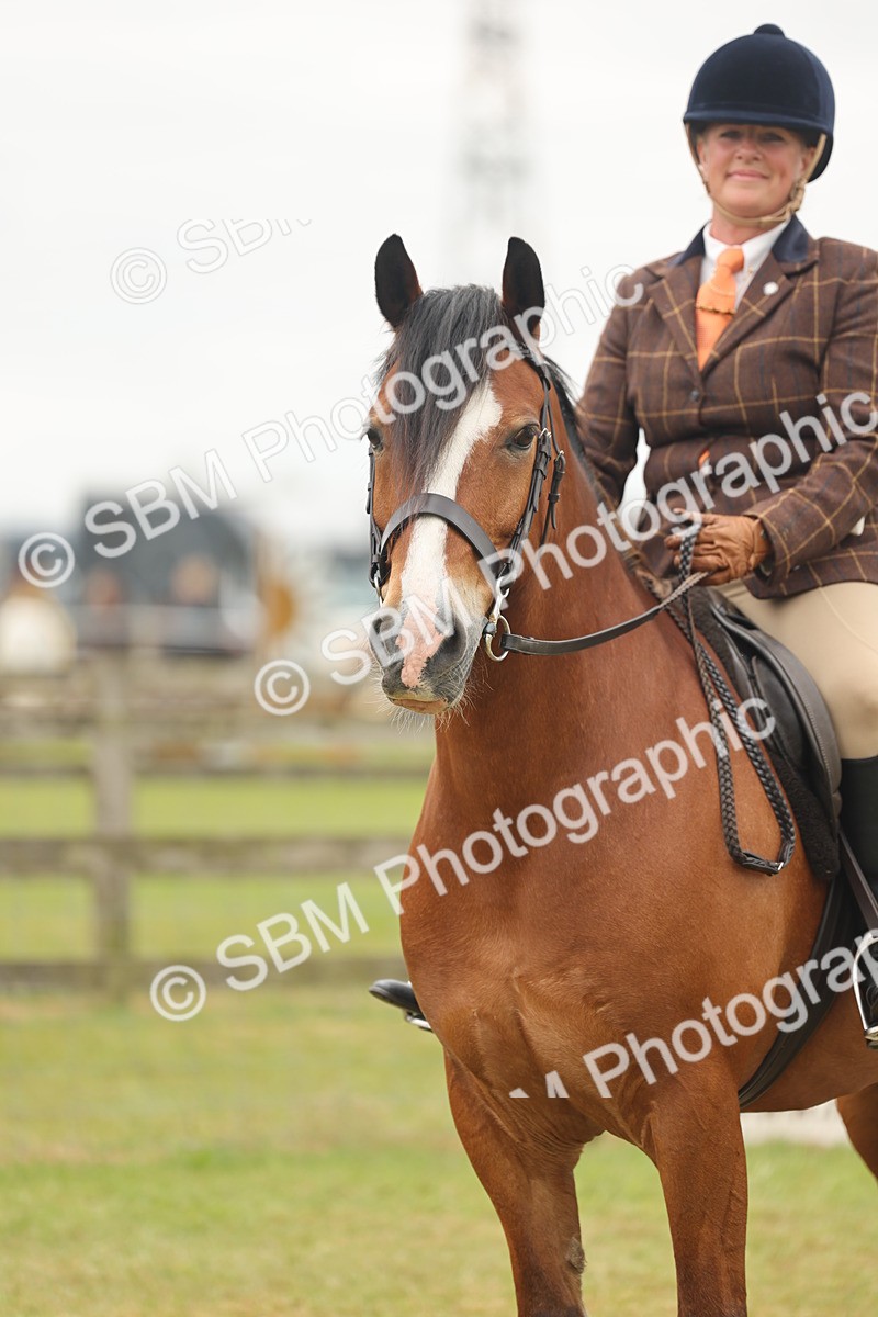 SBM_07246 - Class 76-77 - Ridden M&M Welsh Ponies