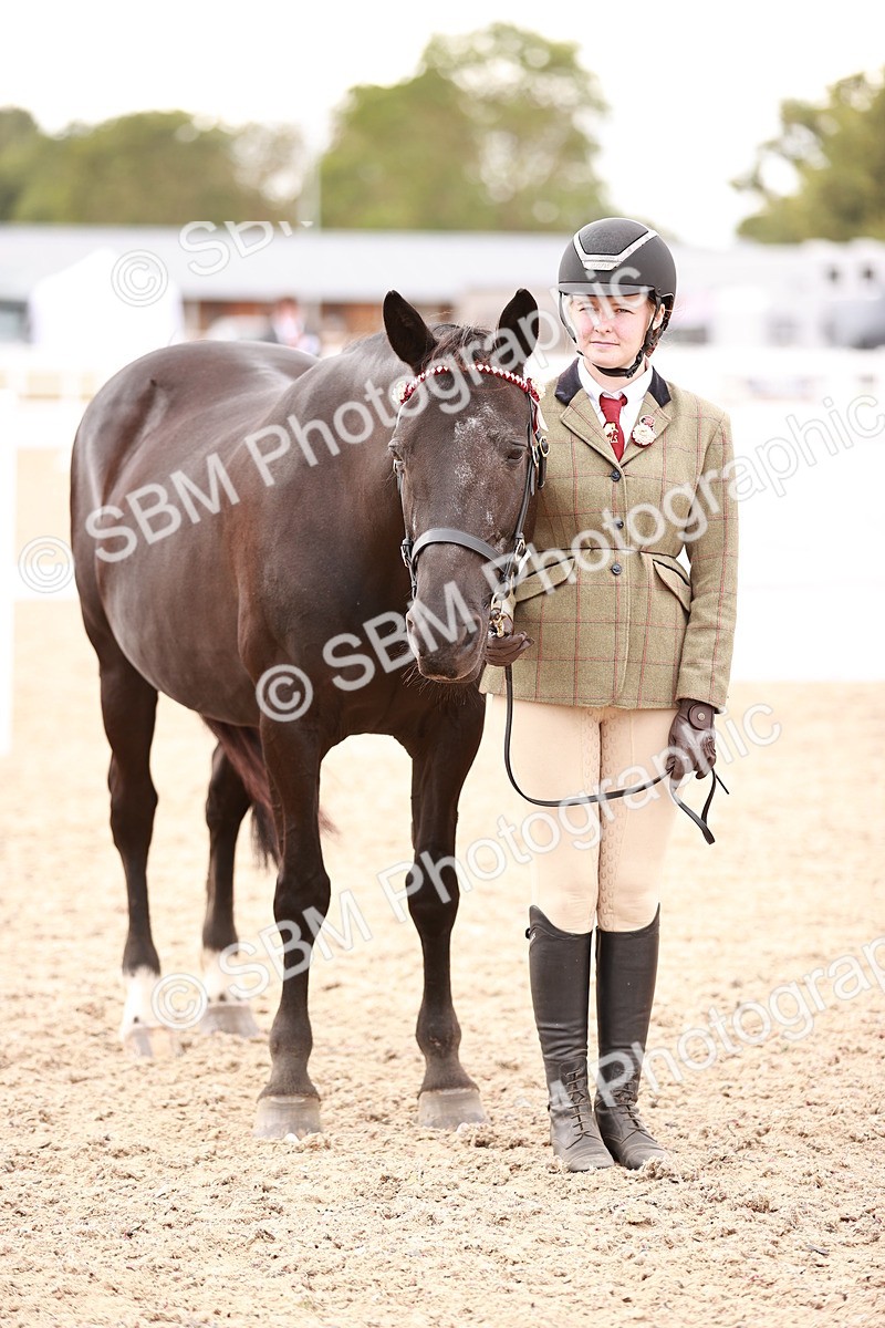 SBM_16132 - Class 411 - Prettiest Mare - (IH or Ridden Adult)