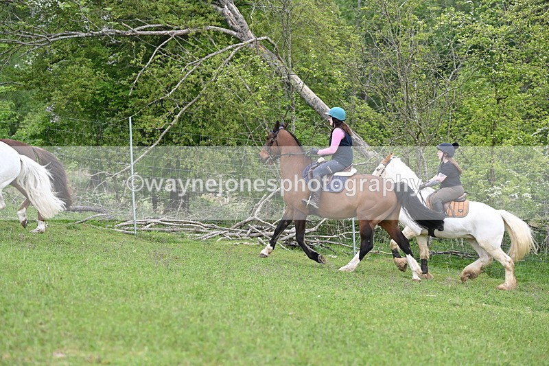 WJ6_3233 - A camera