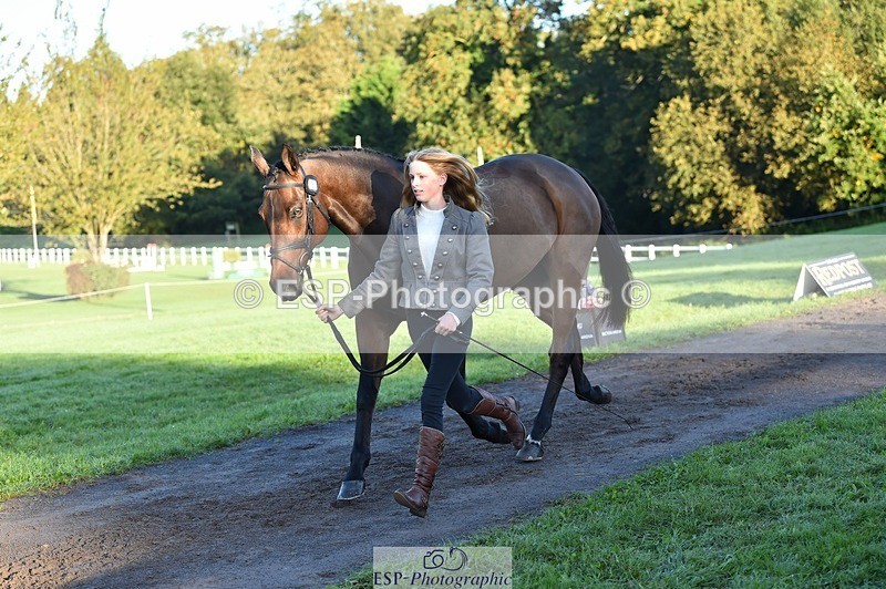 231022-090058-21508 - 658-DANCING.PADDE-Fenella.Redvers-TrotUp+SJ