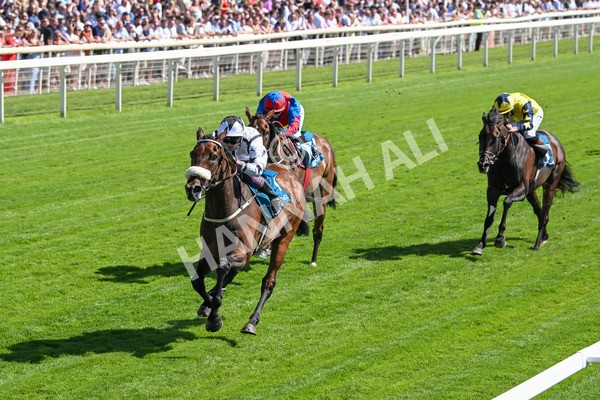 120725-Race 4-Al Qareem-5784 - Race 4 3.45pm John Smith's Silver Cup Stakes