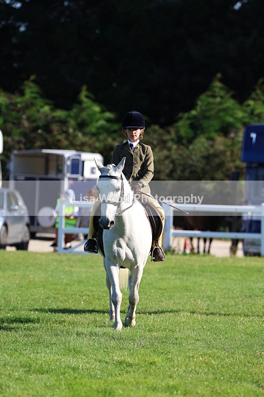 3E7A7496 - Class 1: Novice Working Hunter Pony