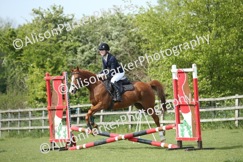 20260426-1490 - Class 14 - Novice 60cm
