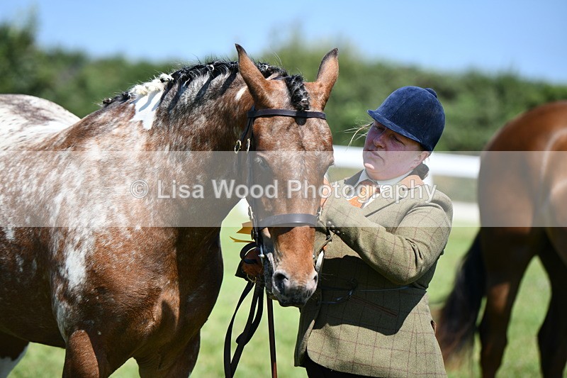 DSC_6858 - Class 57: Hunter/Riding Horse/Hack 1, 2 & 3 yr olds