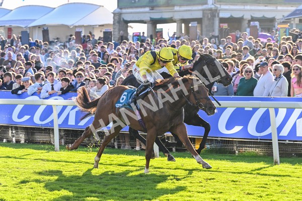 111025-Race 5-Morshdi-8914 - Race 5 Coral 'We're Here For It' EBF Maiden Stakes at York