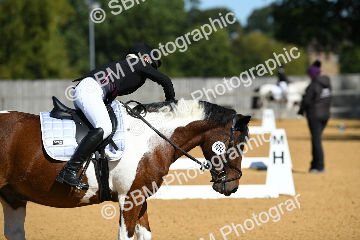 SBM_20603 - D13 - Grand Tour Championship - Prelim 12