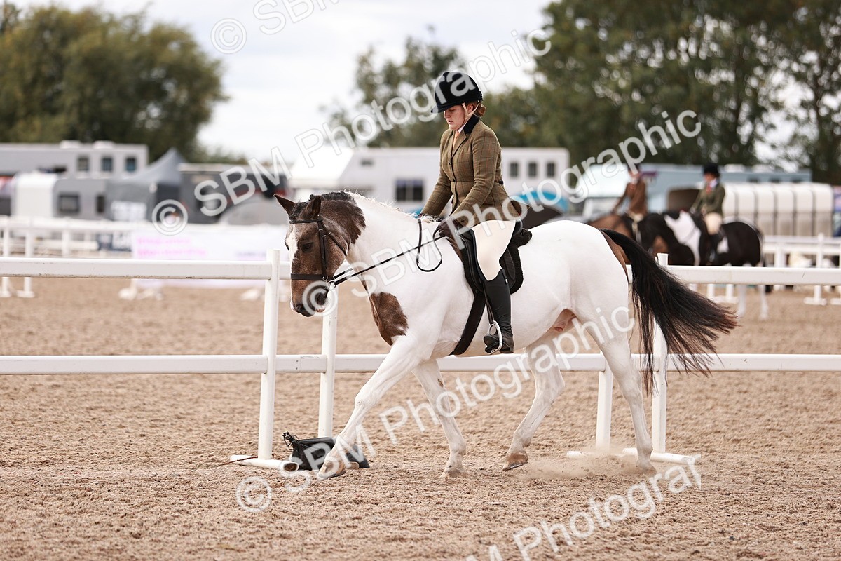 SBM_14363 - Class 409 - Grassroots Ridden - Pony