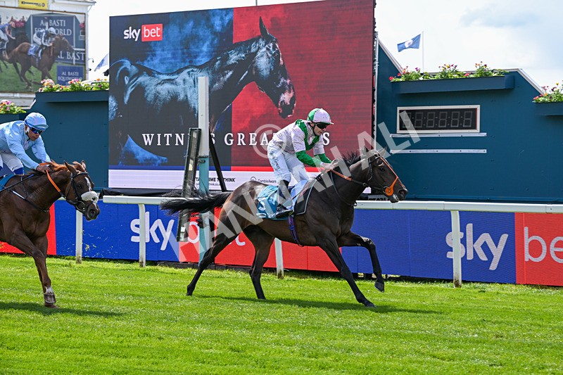 140526-Race 1-Persian Spring-4376 - Race 1 1.45pm Sky Bet ebfstallions.com Novice Stakes