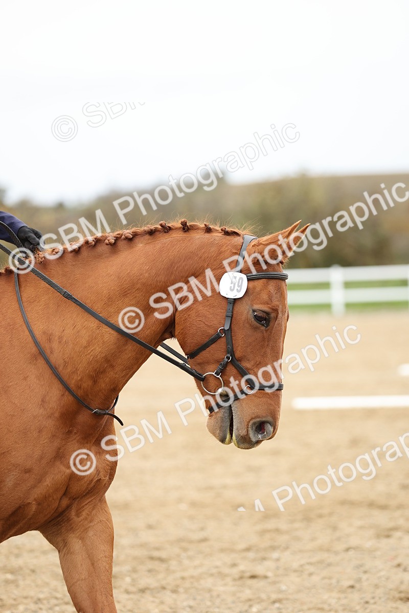 SBM_003852 - Class 9-12 - Novice 2 Elementary 3