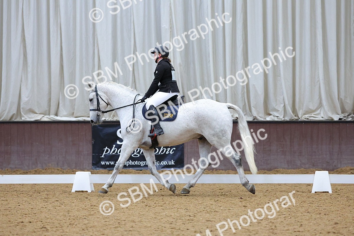 SBM_003773 - Novice