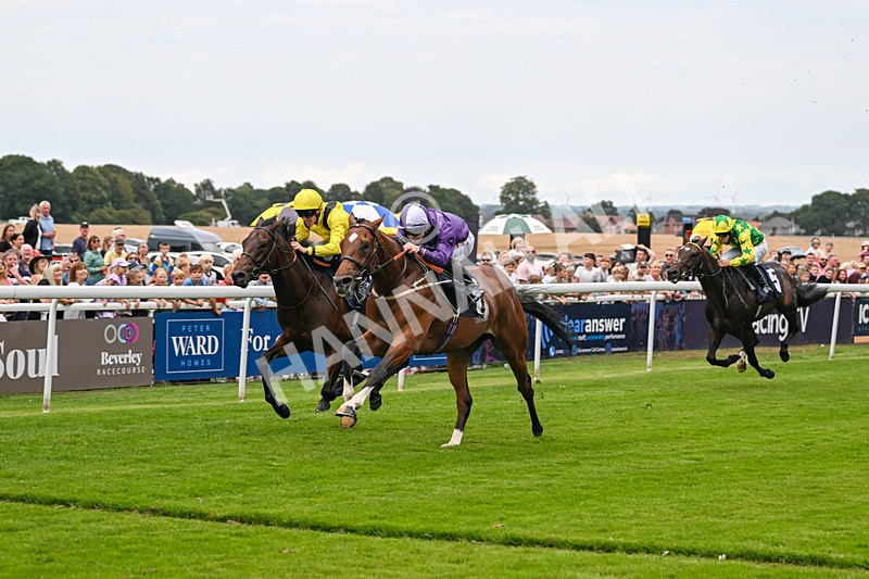 290725-Race 3-Ancient Egypt-0127 - Race 3