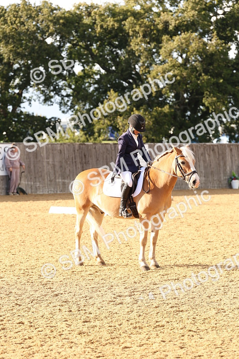 SBM_28202 - D20 - Grand Tour Championship Elementary 3