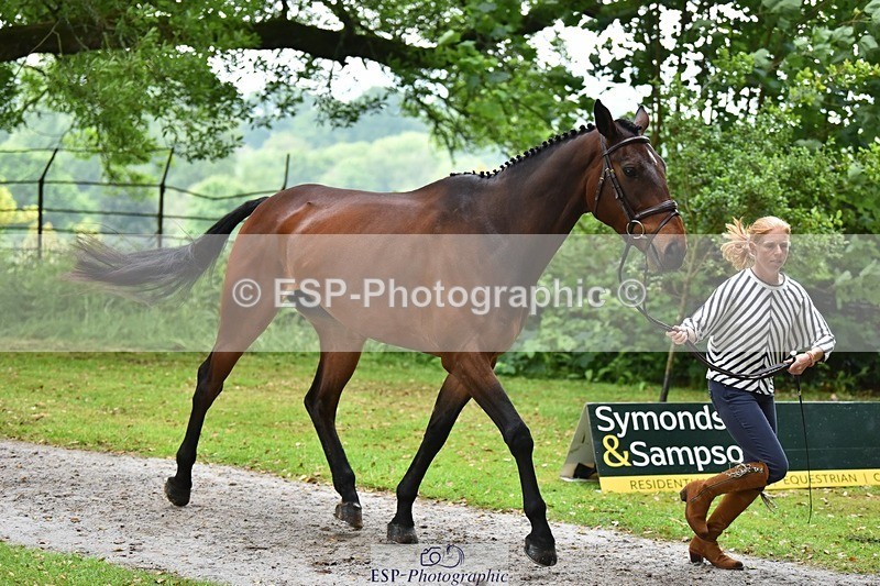 240522-170206-01341 - 274-JACK_OF_CLUBS-Rosalind_Canter