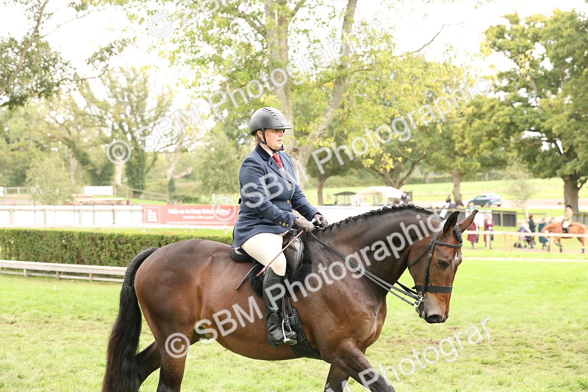 SBM_63032 - S64 - Foreign Breeds Ridden