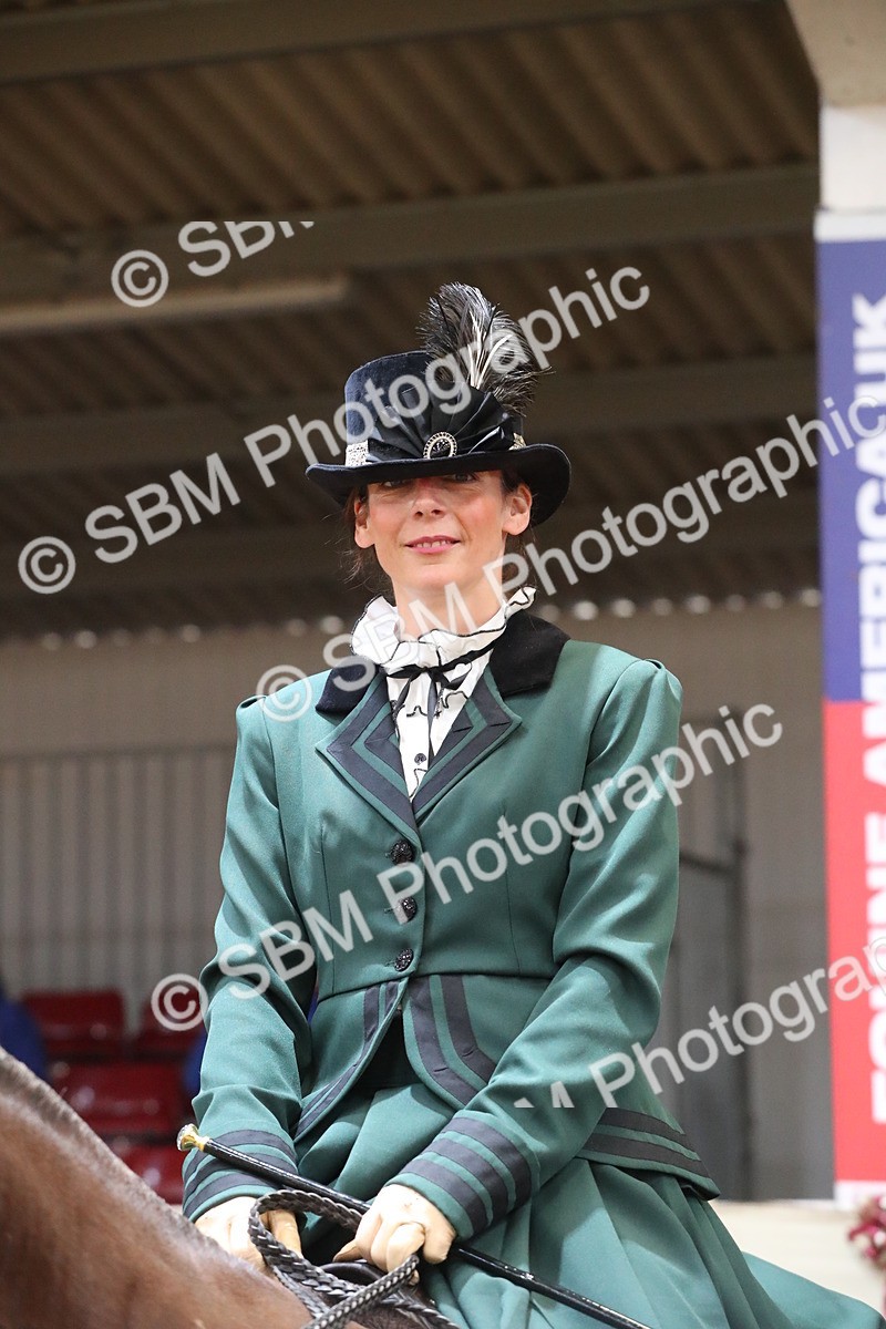 SBM_12162 - Class 107 Ridden Costume- Astride Adult (20+)