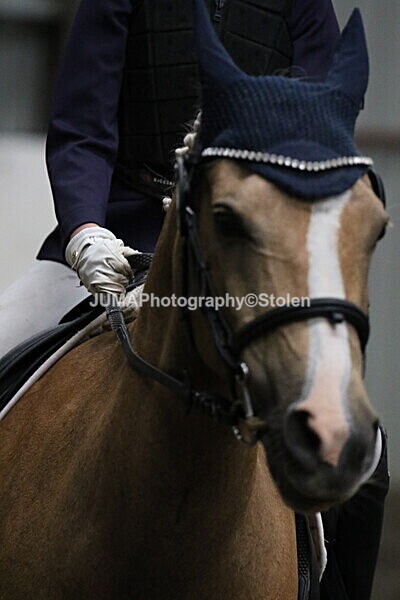 SIAL3622 - CAbin Dressage 5th july 2025