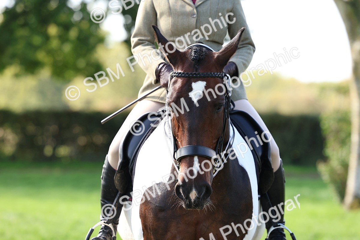 SBM_45313 - S27 - Young Veteran Ridden