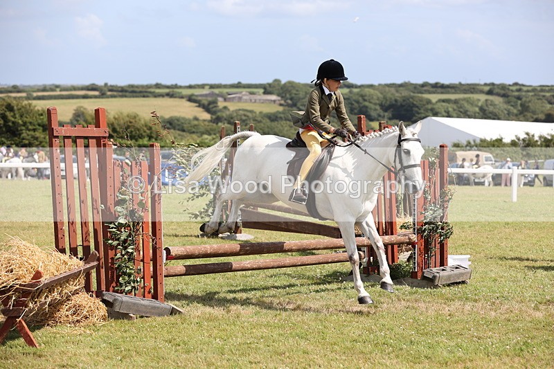 JPP_2118 - Class 19: Working Hunter 60cm