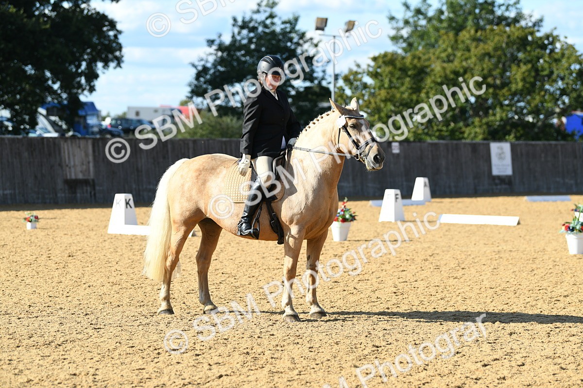 SBM_27256 - D16 - Small Tour Championship - Novice 28