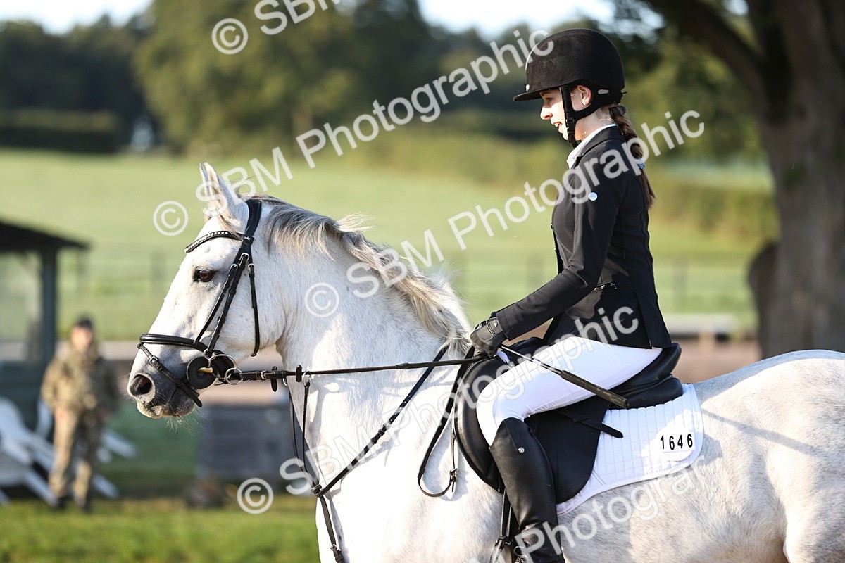 SBM_33066 - J38 - Senior 80cm Championship