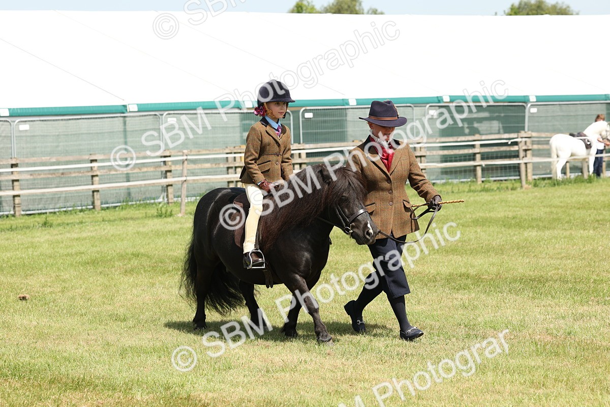SBM_05248 - Class 24-25 - Mountain & Moorland In Hand Lead Rein and First Ridden
