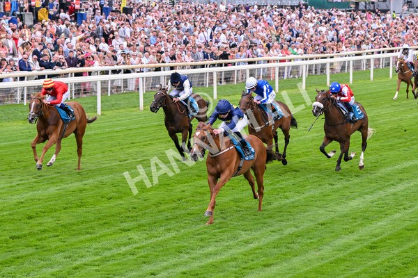 260725-Race 1-Golden Palace-7093 - Race 1 1.25pm £100K ITV7 Jackpot Today EBF Fillies' Novice Stakes