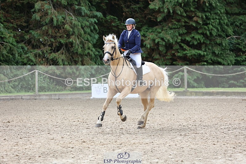 250614A-095159-05439 - Cls 26 British Novice and 90cm Open