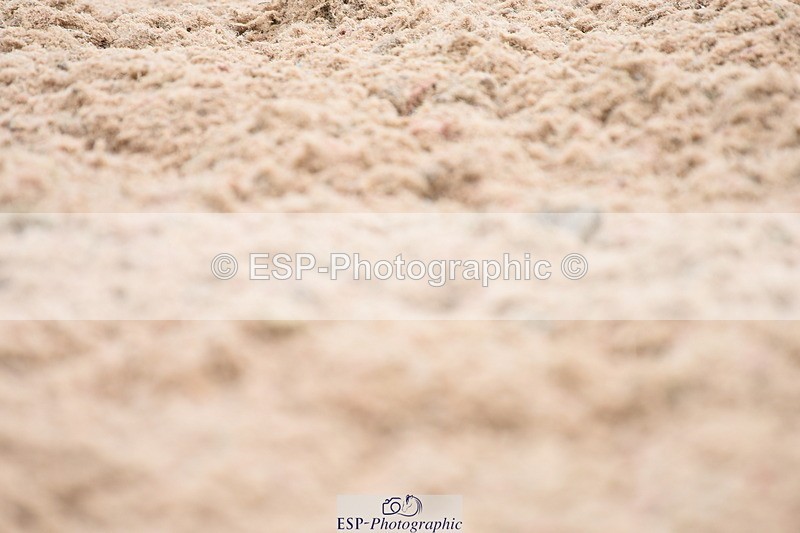 230630A-140126-02091 - Cls 17 FEI PSG